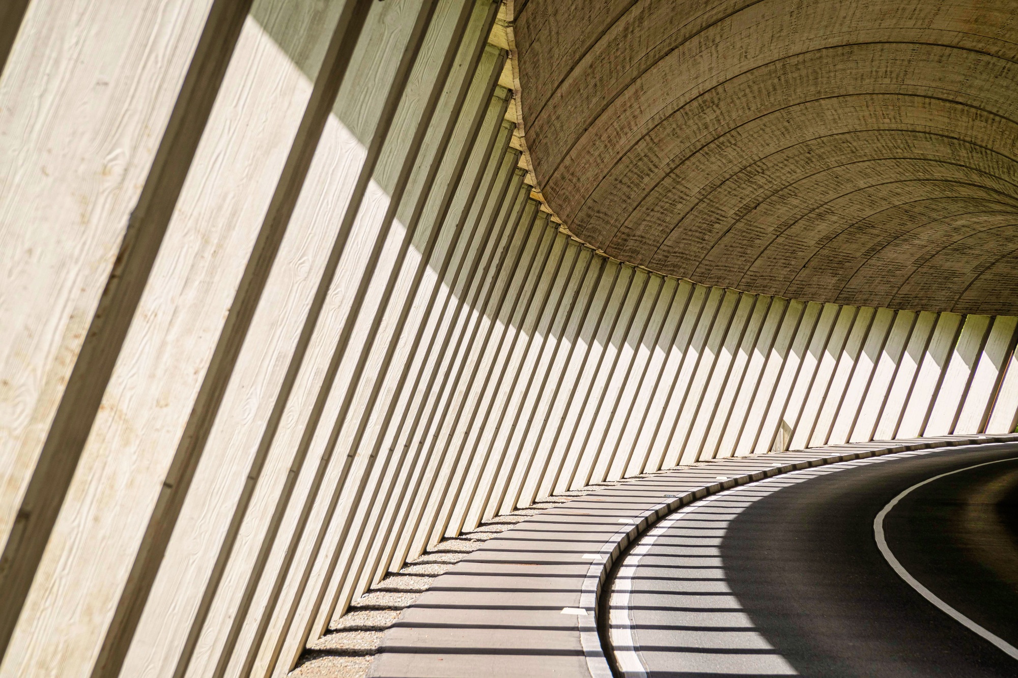 Beautiful architectural design of building walls and ceiling with curved and straight lines